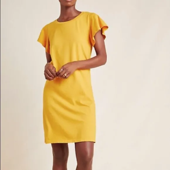 Anthropologie Flutter-Sleeved Tee Dress in Blue Motif (XS)