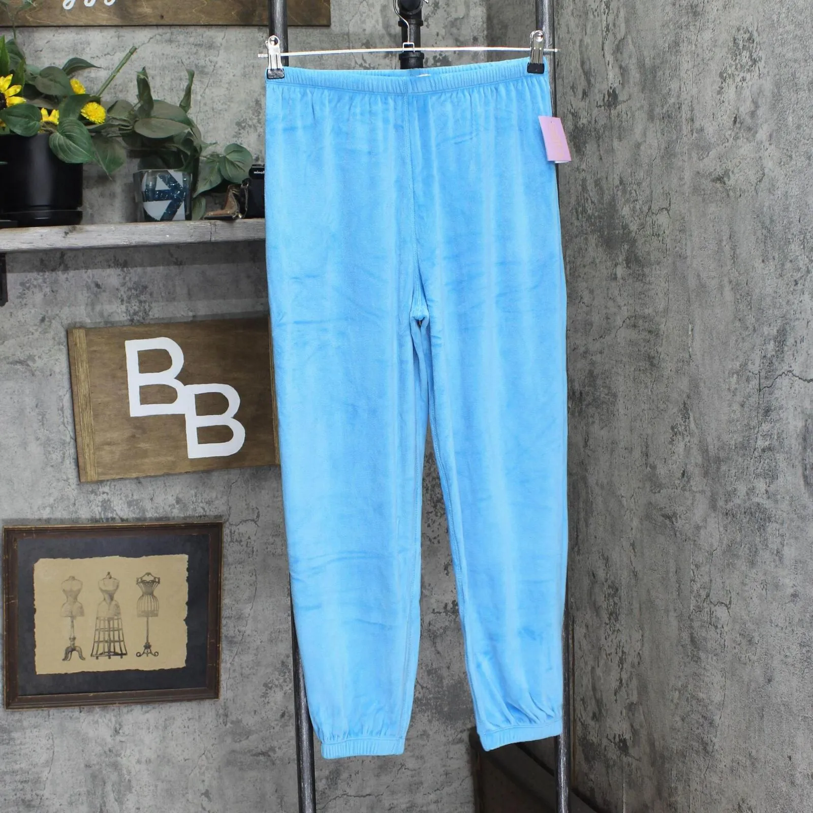 Ascot   Hart Womens Velour Graphic Jogger Pants 85654414