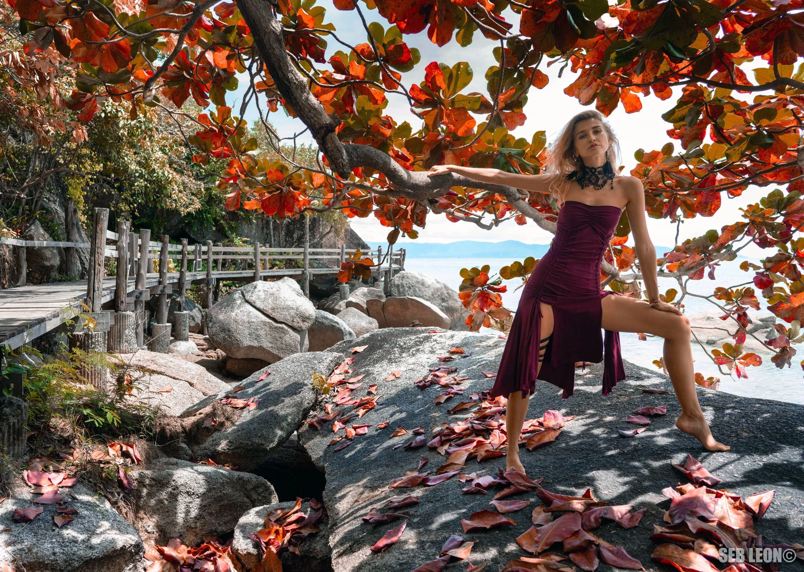 Athena Dress/Skirt (Deep Red or Black)