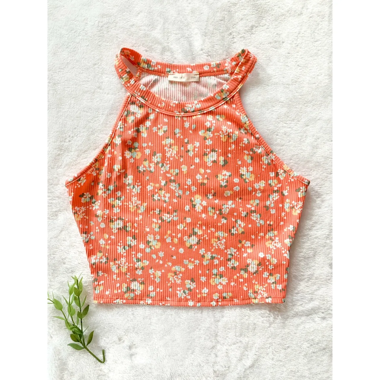 Hey There Floral Print Crop Top - Coral