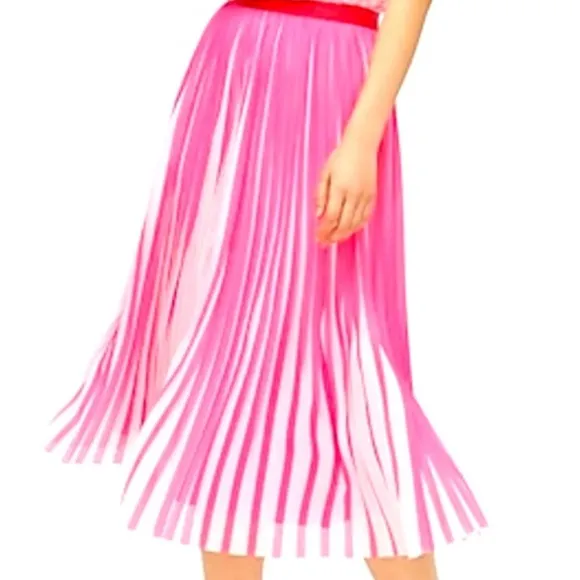 J Crew Pleated midi skirt peekaboo stripe AJ984