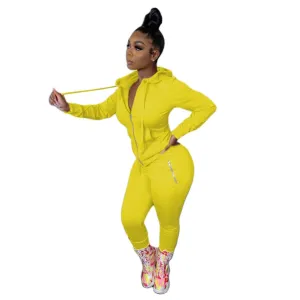 Long Sleeve Pocketed Hoodie Tracksuit Set