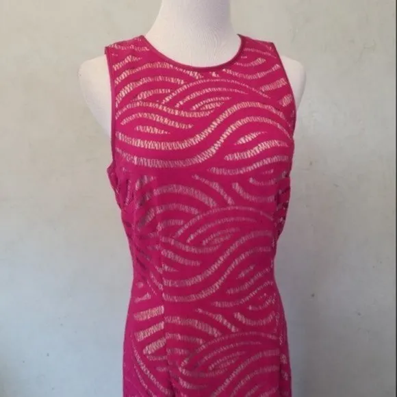 Maggy London Pink lace swirl dress women's size 8 (12)