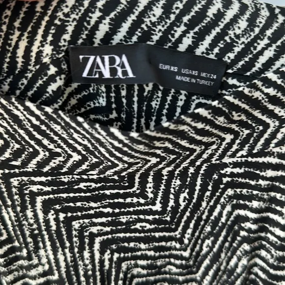 NEW Zara Abstract Pleated Skirt