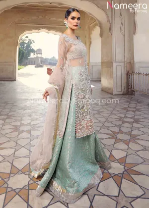 Pakistani Walima Dress for Girl with Dabka Work #BR150
