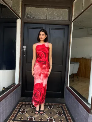 Rose Mesh Dress