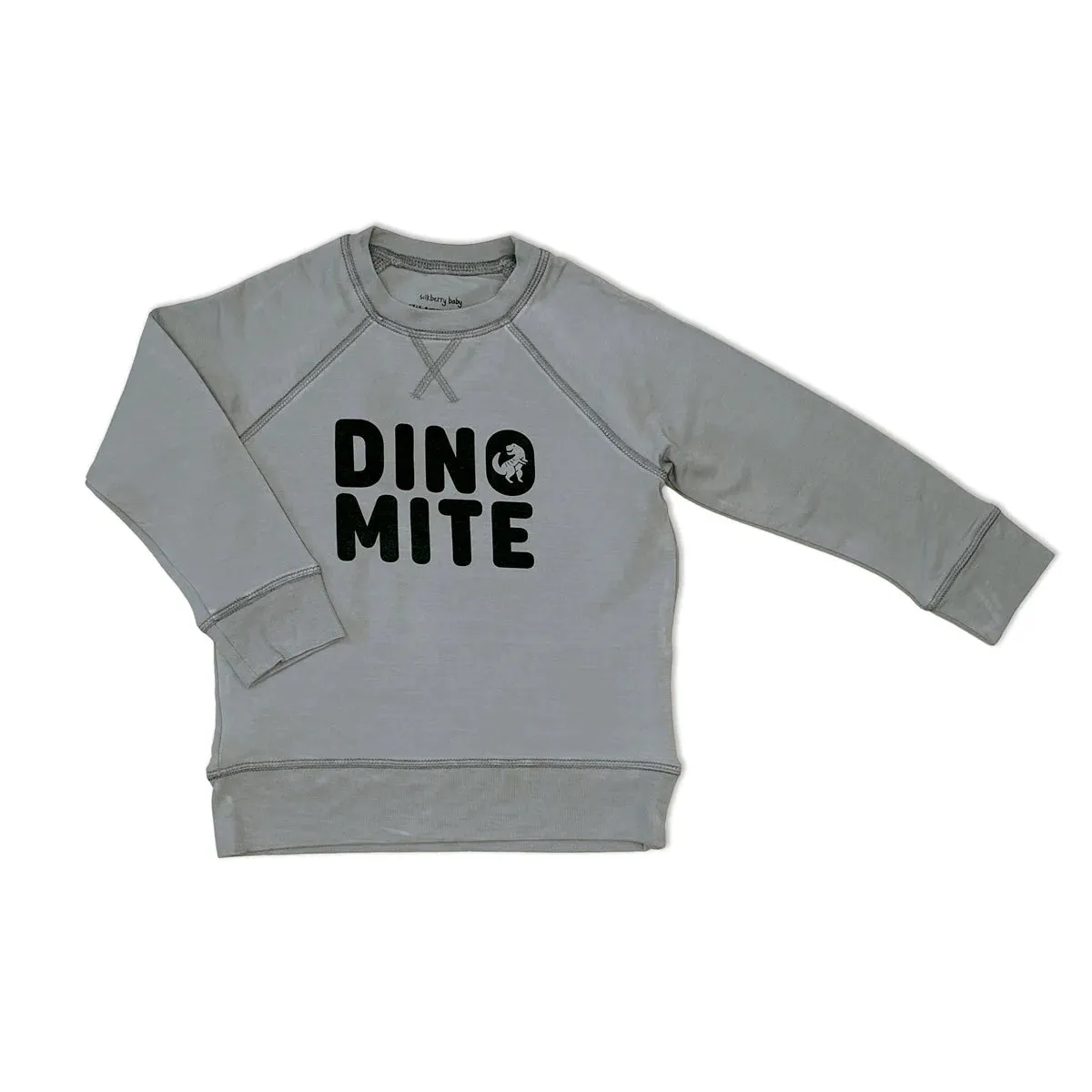 Silkberry Boys Bamboo Fleece Sweatshirt - Windy