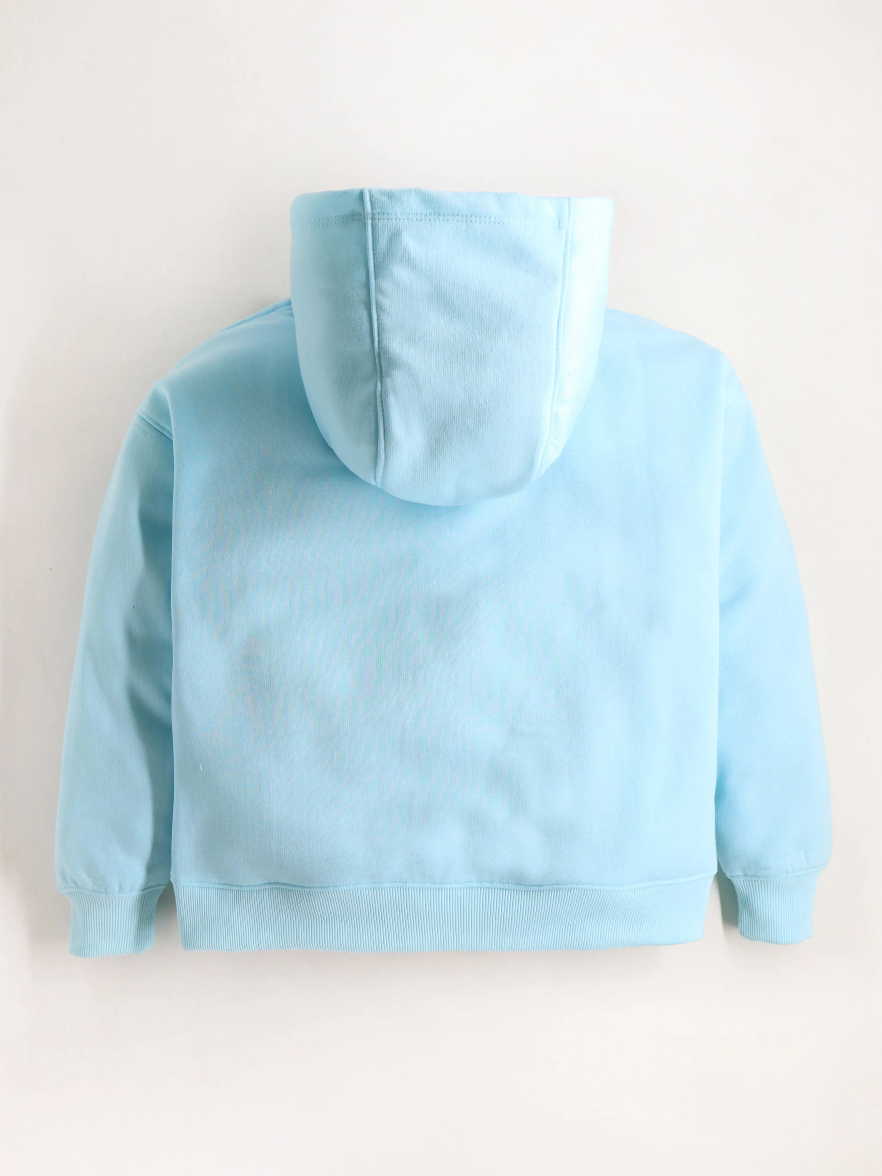 Unisex Sky Blue Embroidered Hooded Sweatshirt For Kids